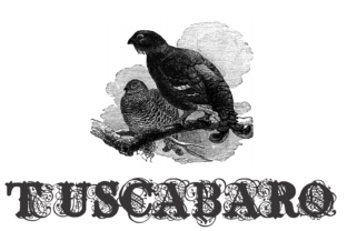 Tuscabaro: Where Rustic Charm Meets Modern Edge