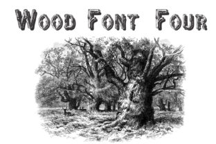Wood Font Four: Bringing Natural Texture to Modern Design